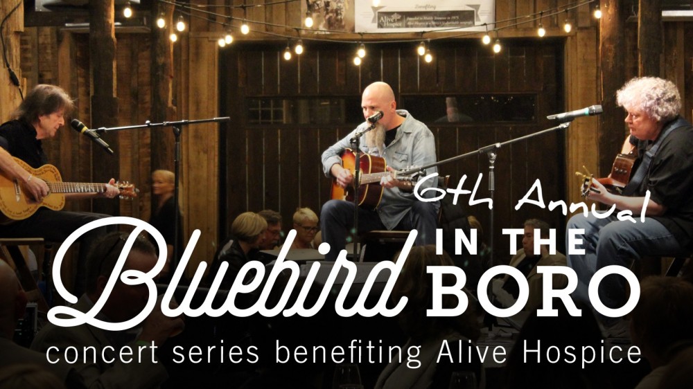 Bluebird in the Boro